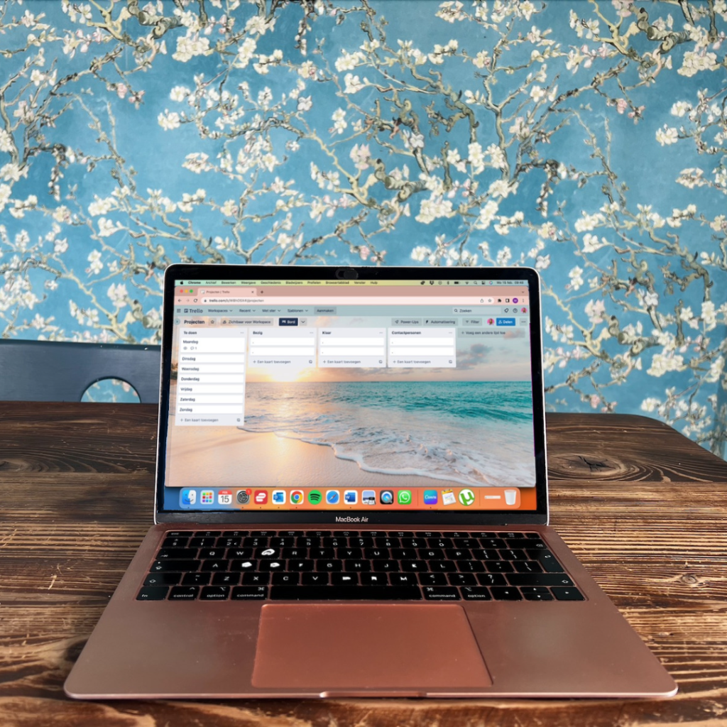 Het Kiezen Van Je Website, Hosting En Builder